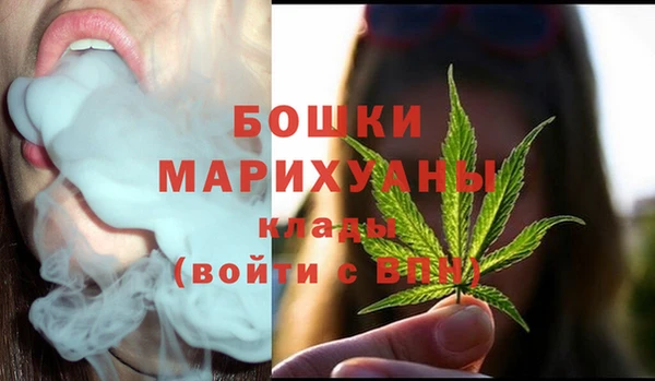 винт Абаза