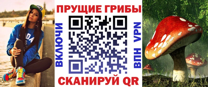 Псилоцибиновые грибы GOLDEN TEACHER  даркнет сайт  Котовск 